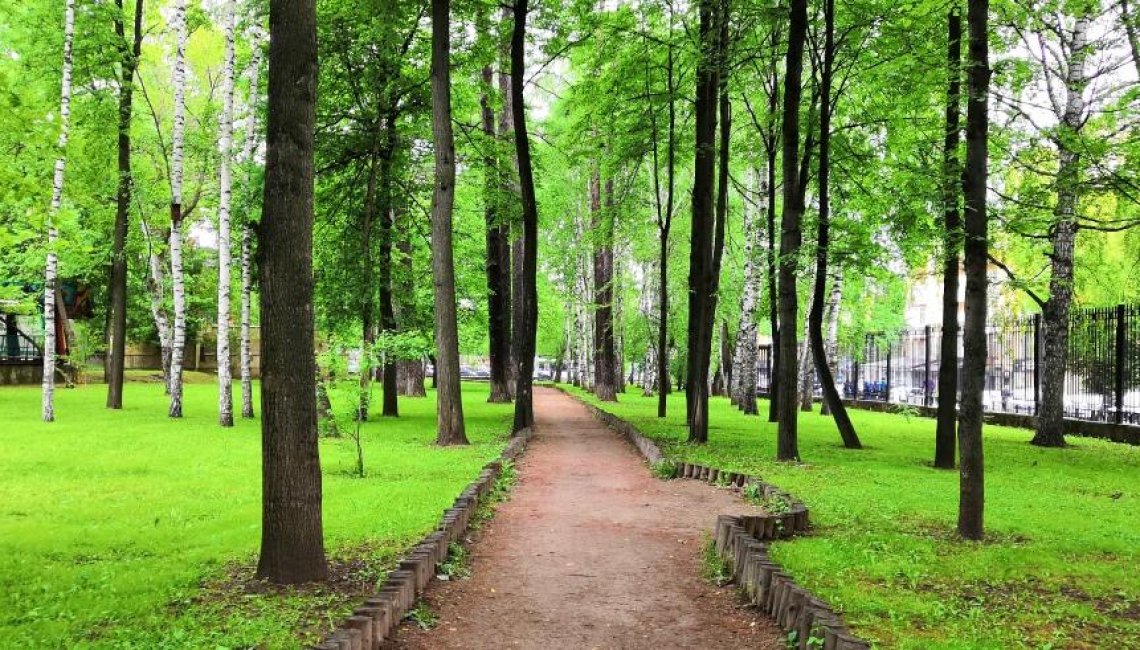 В Парке Горького орнитолог МИП Бюро охраны природы проводит полевые орнитологические исследования. 